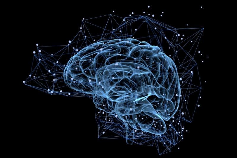 How is Neuro Linguistic Programming applied