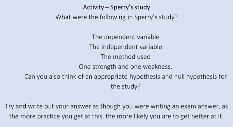 Activity – Sperry’s study Activity – Sperry’s study