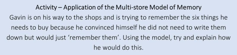 Application of the Multi-store Model of Memory Application of the Multi-store Model of Memory