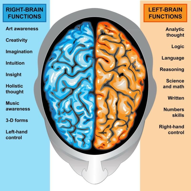 Brain functions Brain functions