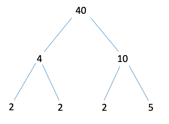 Factors and multiples Number tree - factors of 40