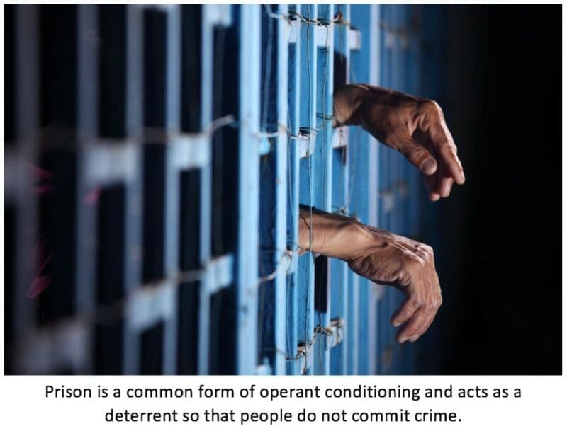 Operant conditioning Operant conditioning