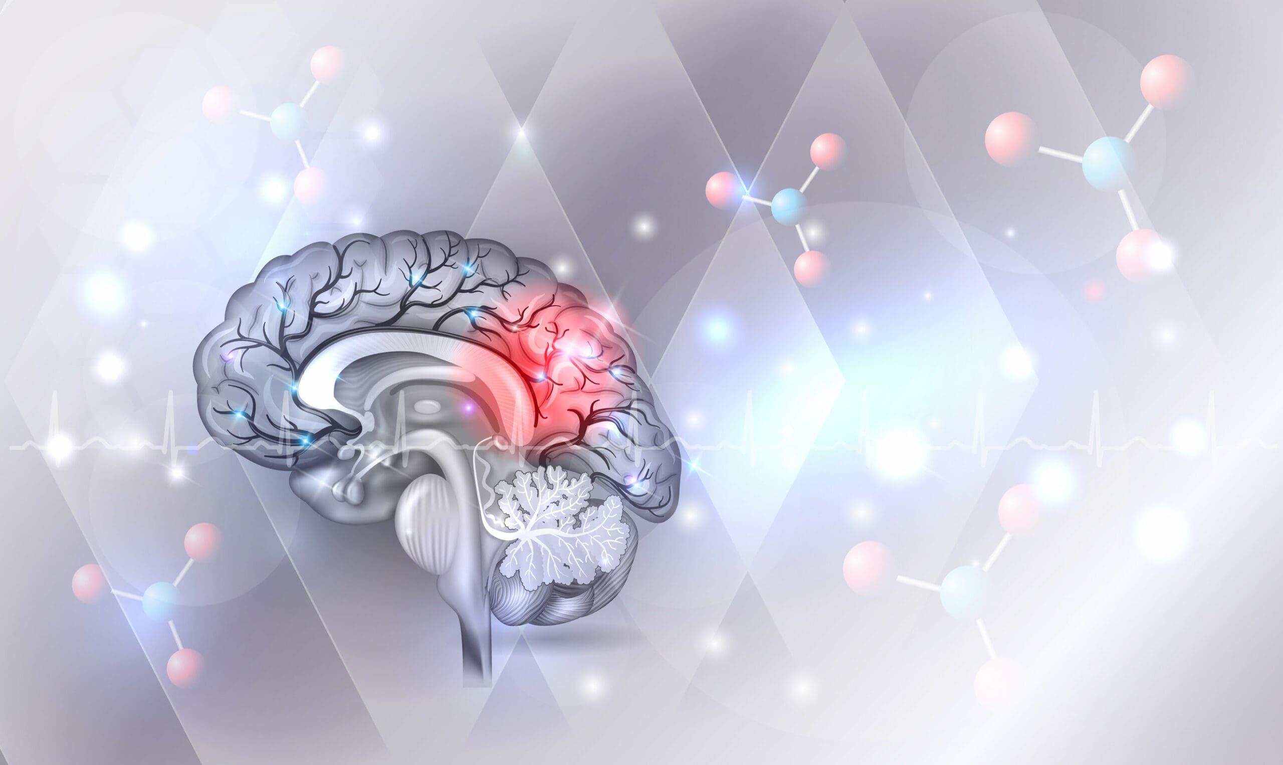 The impact of neurological damage on behaviour