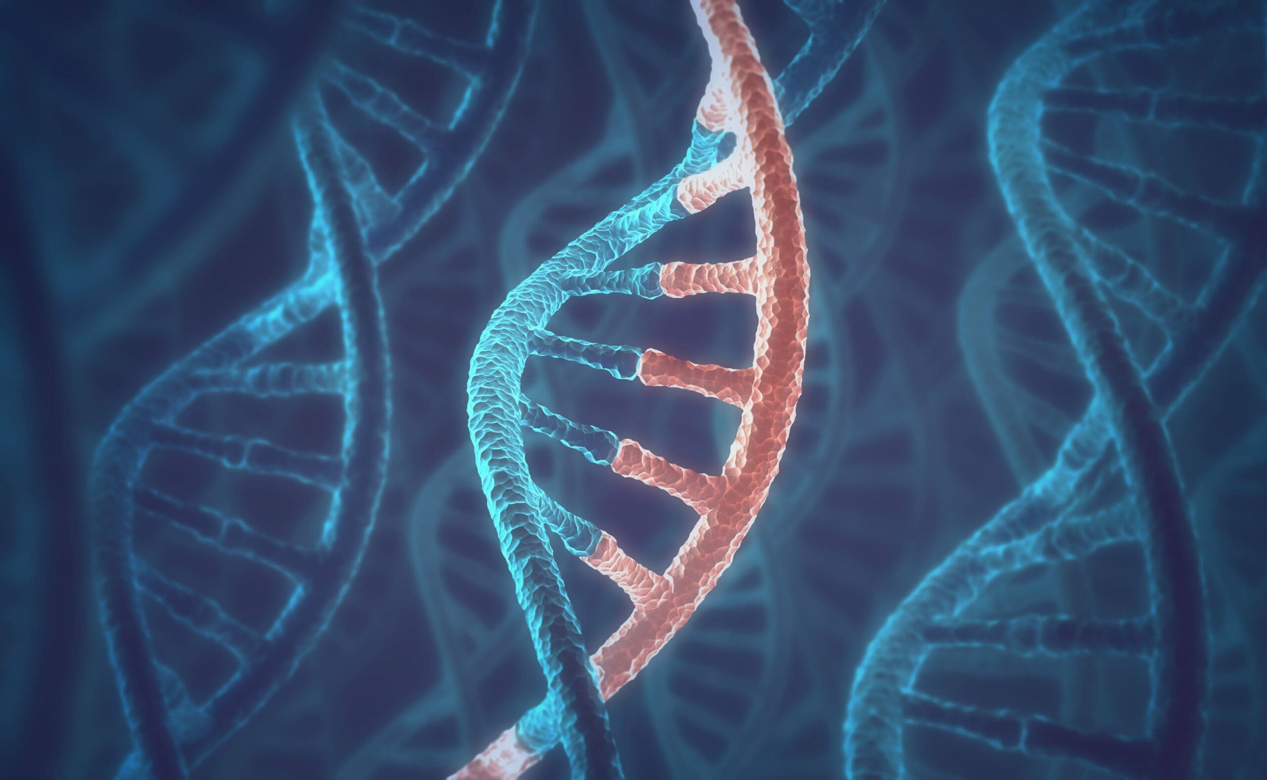 The influences of genes