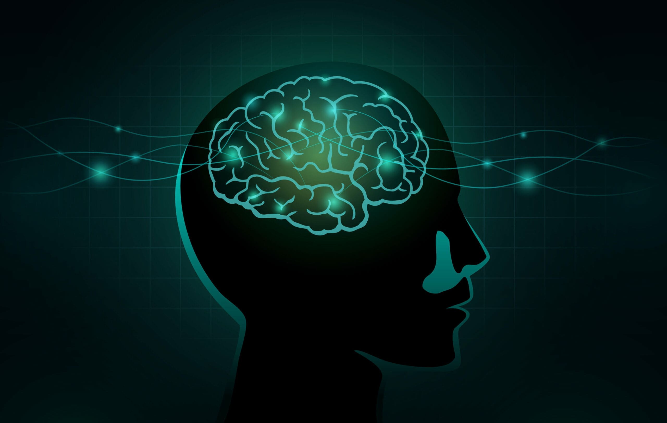 The structure and function of the brain