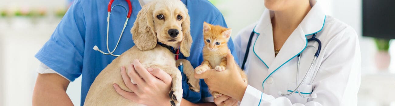 Veterinary assistants Veterinary assistants