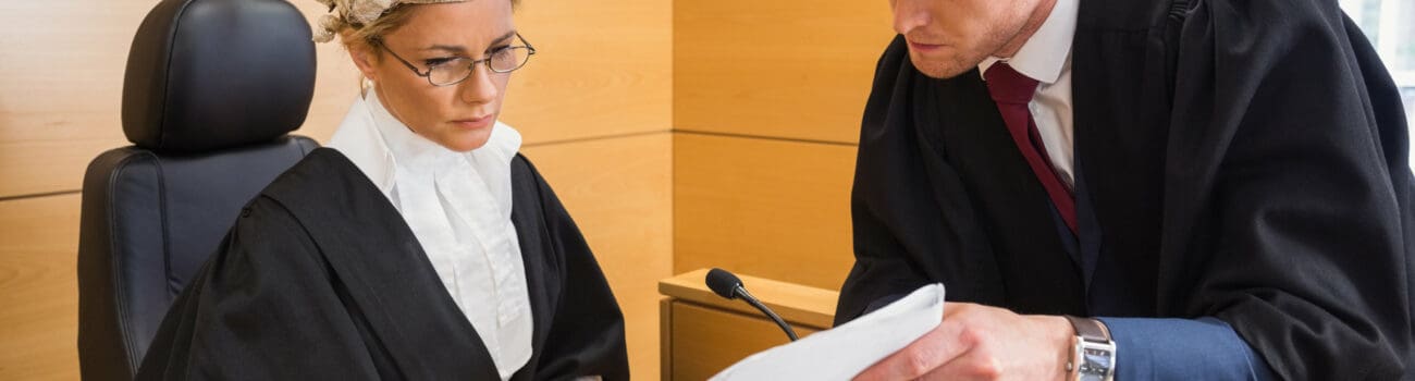 What a Barrister Does What a Barrister Does
