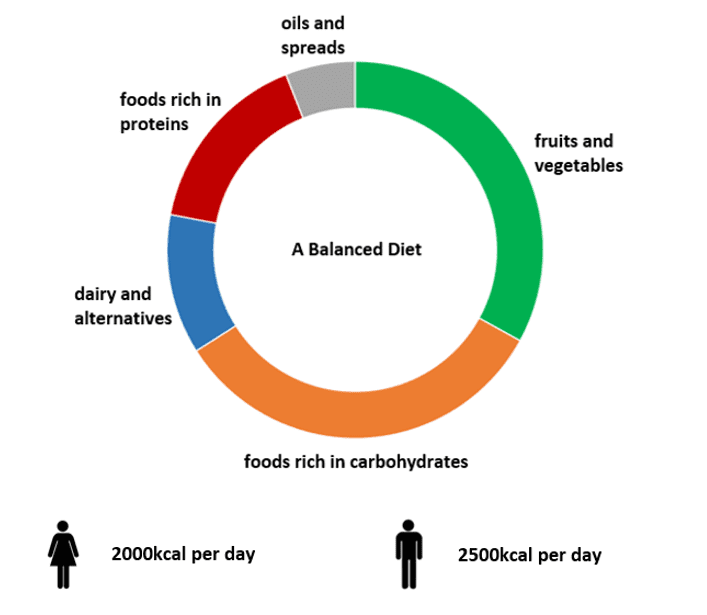 Balanced diet diagram Balanced diet diagram