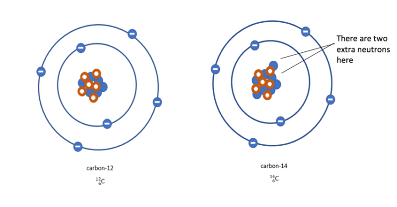 Carbon-14 and Carbon-12 Carbon-14 and Carbon-12