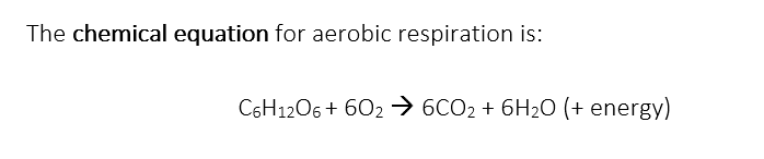 Chemical equation for aerobic respiration Chemical equation for aerobic respiration