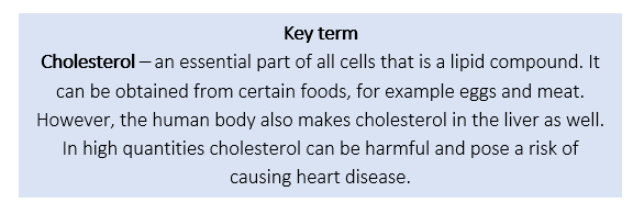 Cholesterol Cholesterol