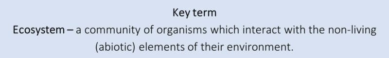 Ecosystem key term