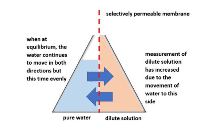 Equilibrium