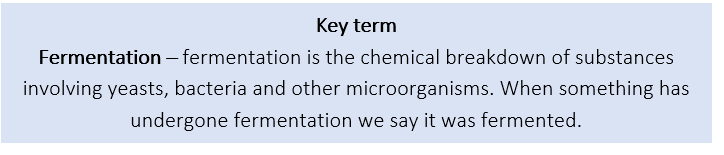 Fermentation Fermentation