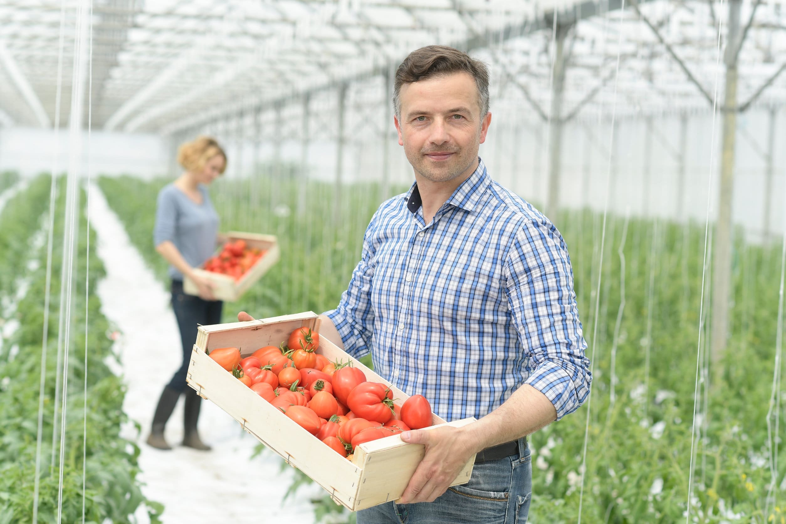 Food production