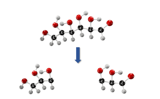 Glycolysis Glycolysis