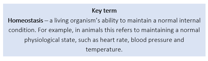 Homeostasis Homeostasis