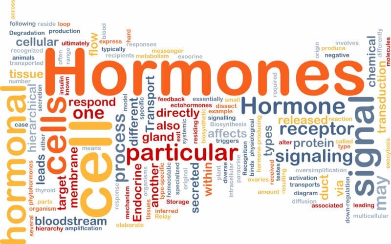 Hormones