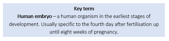 Human Embryo