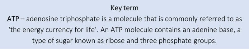 Key Term Key term