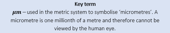 Key Term Key Term