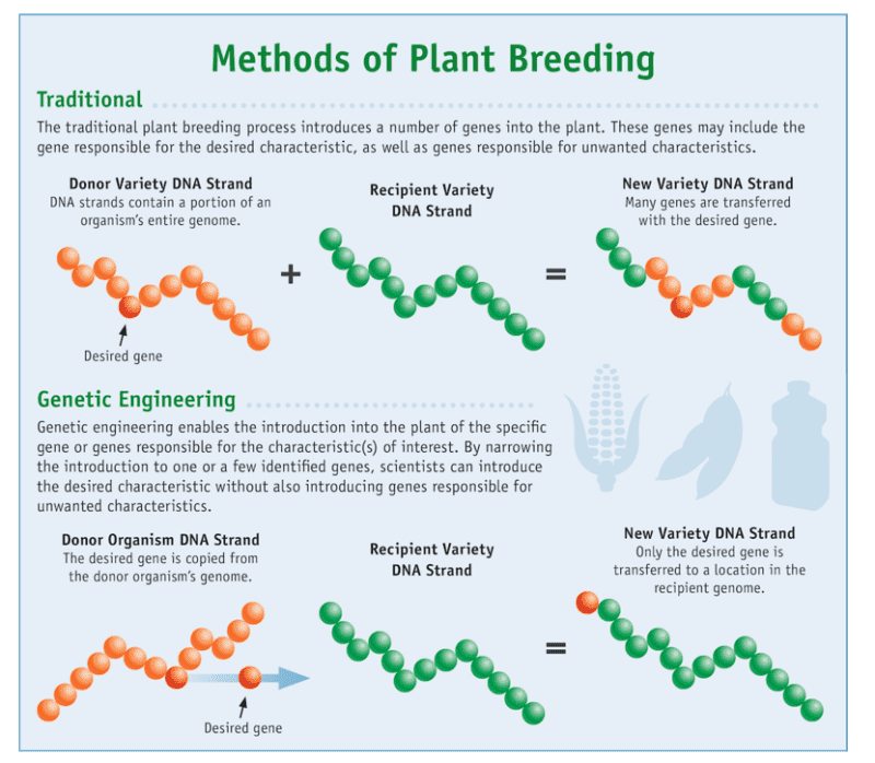 Methods of plant breeding
