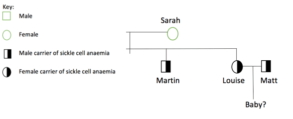 Pedigree diagram Pedigree diagram