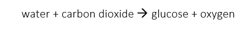 Photosynthesis equation Photosynthesis equation