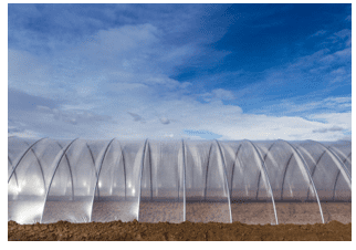 Polythene tunnel Polythene tunnel