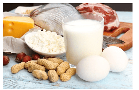 Protein foods Protein foods