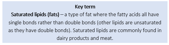 Saturated lipids Saturated lipids