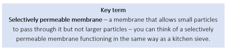 Selectively permeable membrane