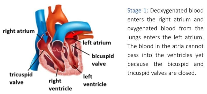 Stage 1 Stage 1