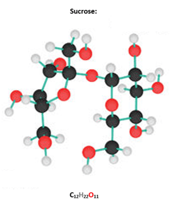 Sucrose Sucrose