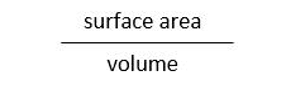 Surface area over volume Surface area over volume