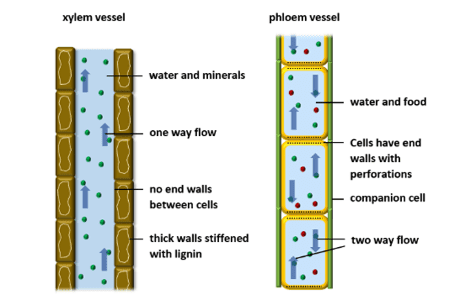 Vessels Vessels
