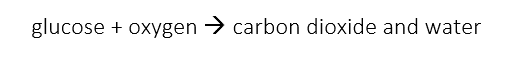 aerobic respiration equation aerobic respiration equation