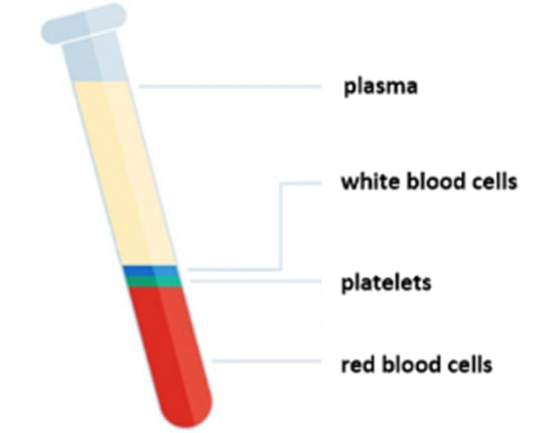blood and their approximate measurements blood and their approximate measurements