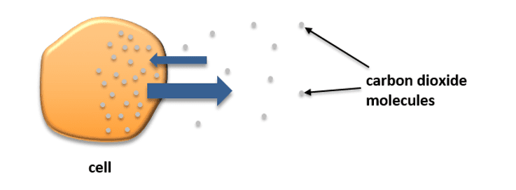 diffusion diffusion