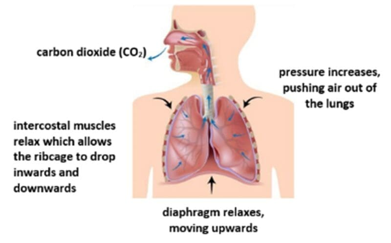exhalation exhalation