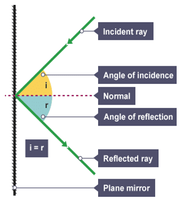 Incident ray Incident ray