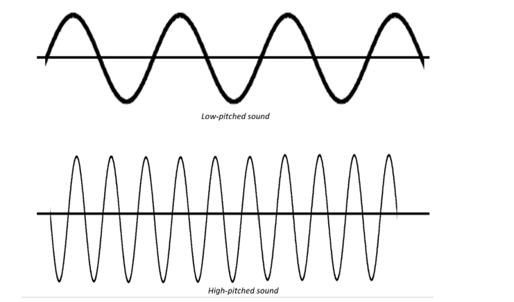 Oscilloscope traces Oscilloscope traces