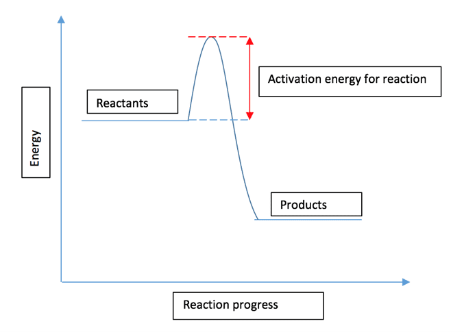 Reaction profile diagrams Reaction profile diagrams