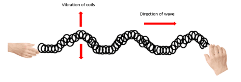 Transverse waves