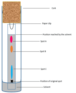 chromatogram