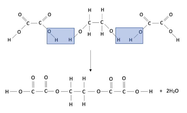 ethanedioic acid and ethanediol ethanedioic acid and ethanediol