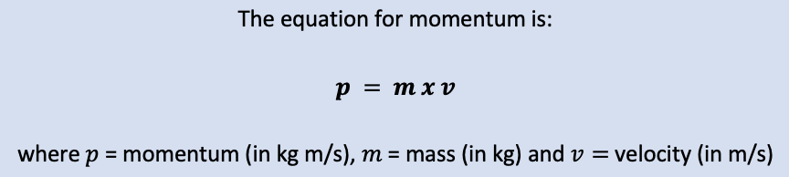 momentum equation