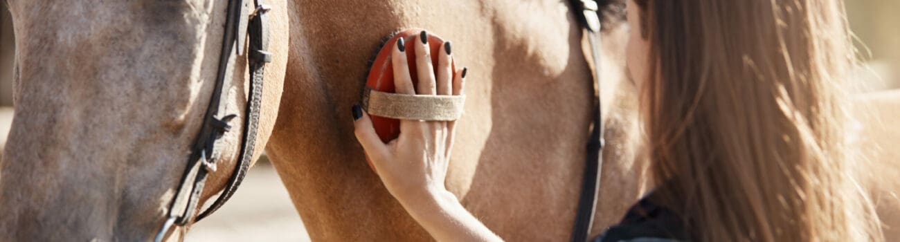 The Benefits of Animal-Assisted Therapy in Care The Benefits of Animal-Assisted Therapy in Care