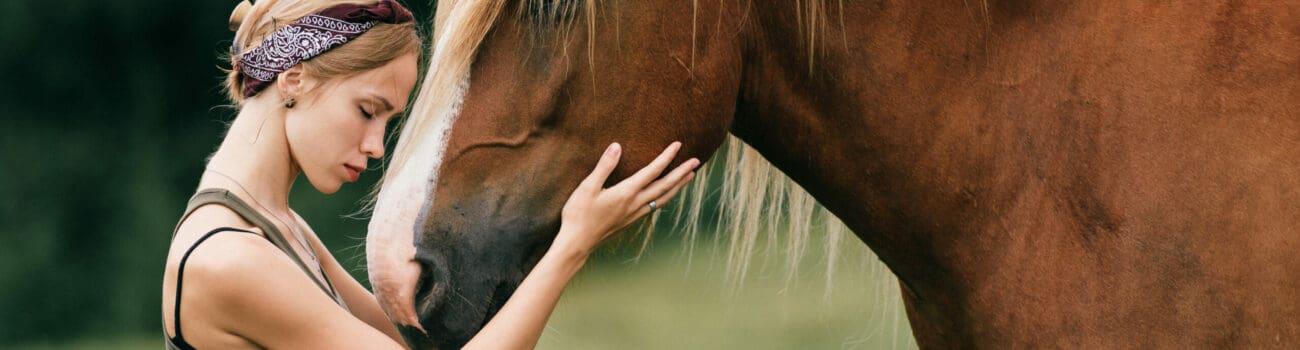 The Benefits of Animal-Assisted Therapy in Care The Benefits of Animal-Assisted Therapy in Care