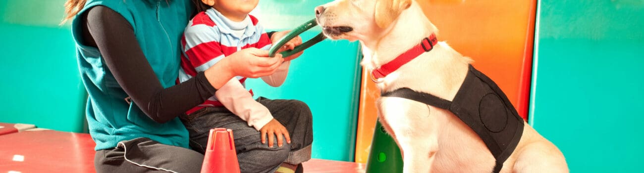 https://online-learning-college.com/courses/childcare-early-years-courses/ https://online-learning-college.com/courses/childcare-early-years-courses/